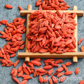 Bayas secadas goji orgánicas crudas para la venta